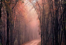 DO:不知道阿森纳是否会买赫伊森,但至少要先有人离队.