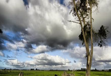 德转显示原广州队门将霍深坪加盟浙江队,转会费31.7万欧.